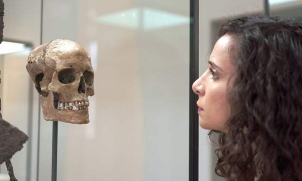 Британские ученые воссоздали лицо женщины-викинга, которая жила тысячу лет назад