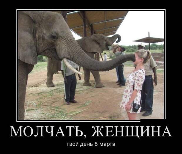 Прикольные и веселые демотиваторы из нашей жизни (10 фото)