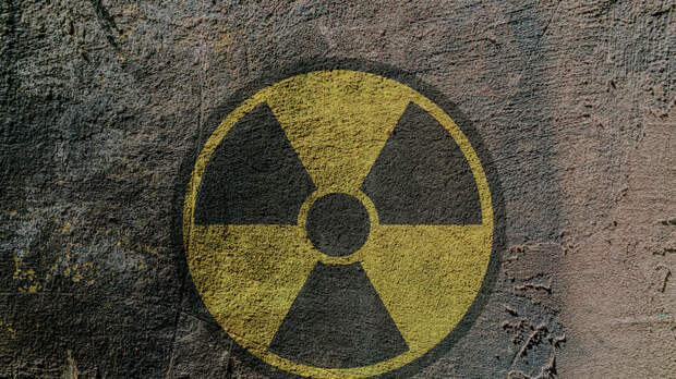 Нечаев: в ФРГ не ответили на запрос Госдумы о ядерных компонентах для Киева