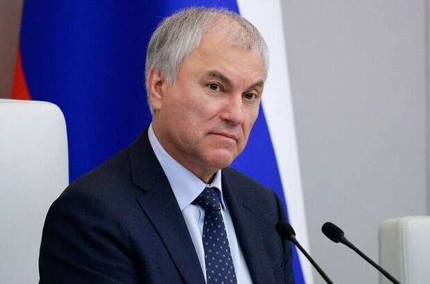 Володин установил обратную связь через МАХ