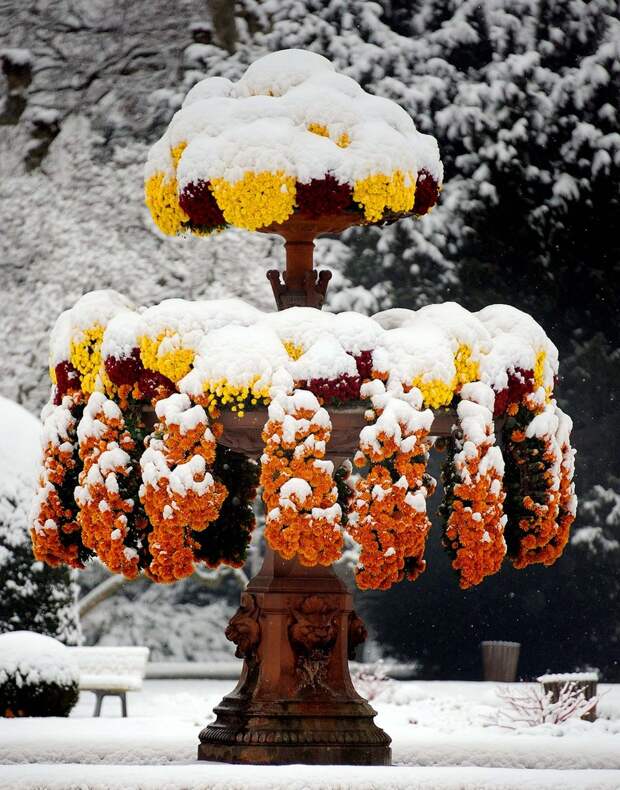 winterbeauty17