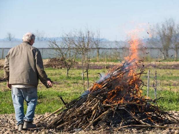 Почему весной принято сжигать хлам и выбрасывать мусор