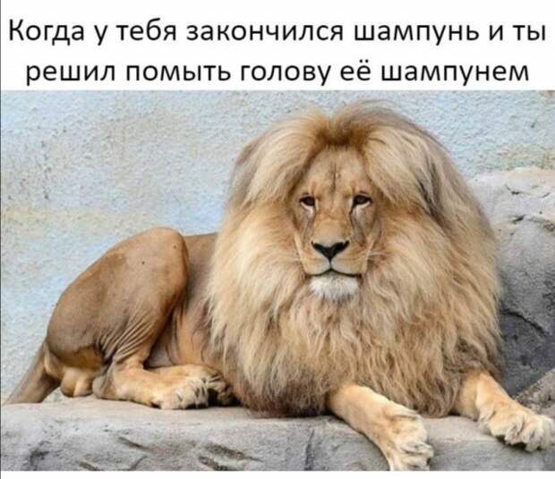 www.vsyako.net