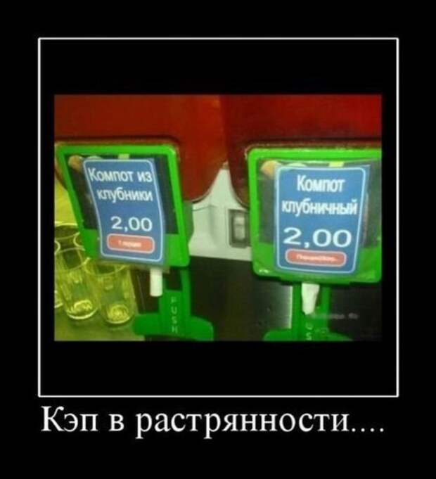 Демотиваторы (30 фото)