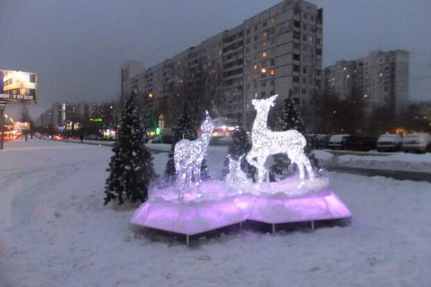 Семья оленей / фото предоставлено управой Алтуфьевского района