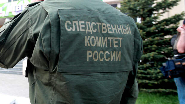 СК займется делом об осквернении памятника советским воинам в Вене