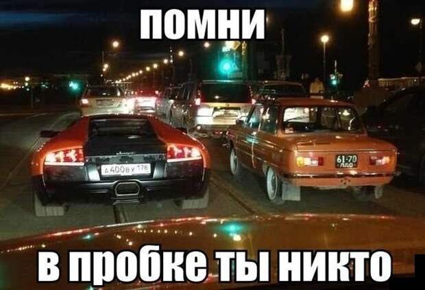 Прикольные картинки Прикольные картинки