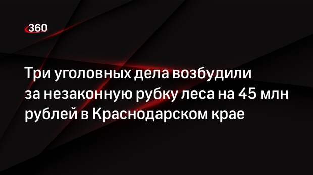 Три уголовных дела возбудили за незаконную рубку леса на 45 млн рублей в Краснодарском крае