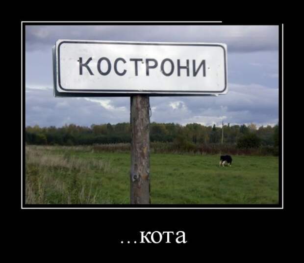 Демотиваторы (30 фото)