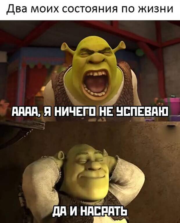 Два моих состояния