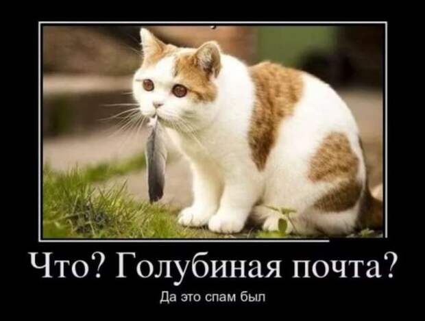 Прикольные демотиваторы с надписями. Подборка chert-poberi-dem-chert-poberi-dem-17530217102020-4 картинка chert-poberi-dem-17530217102020-4