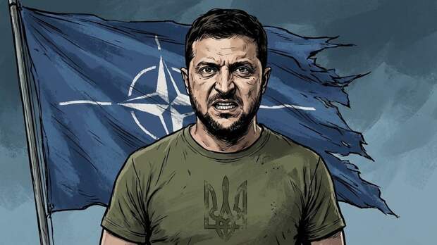 Дэвис: Зеленский доказывает свою нефункциональность, говоря о вступлении в НАТО