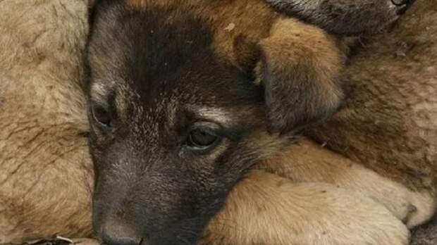 Нельзя пройти мимо