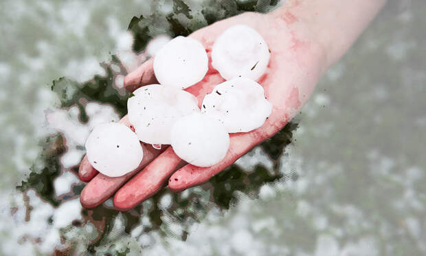 «Цветы все побил»: под Орлом выпал град