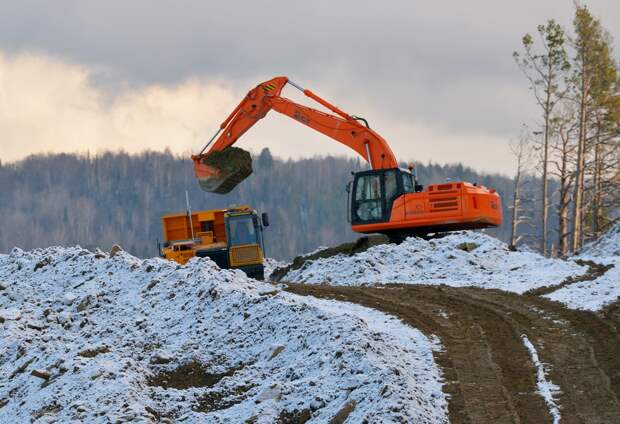 Завоз индийцев и африканцев для строительства дорог в России объяснили