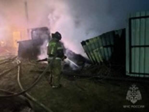 Фото: МЧС Алтайского края