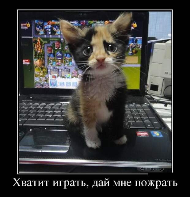Забавные демотиваторы про женщин и не только (11 фото) Забавные демотиваторы про женщин и не только (11 фото)