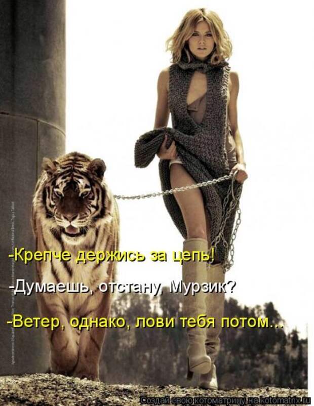 Новая котоматрица для всех и каждого (30 фото)