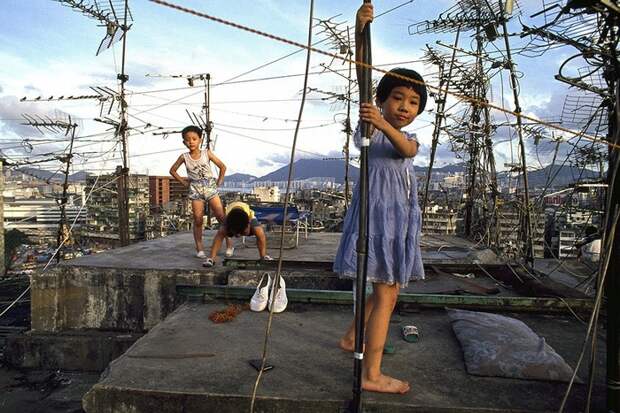 Вместо детских площадок у малышей были крыши. /Фото: birdinflight.com Вместо детских площадок у малышей были крыши. /Фото: birdinflight.com