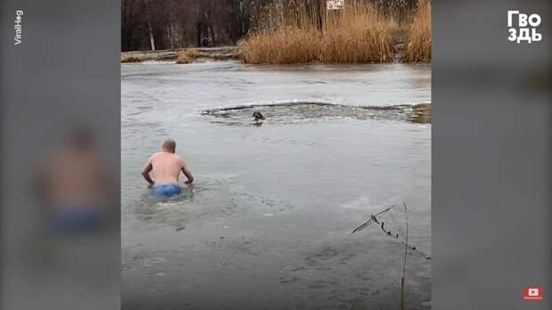 Мужчина спасал бродячего пса, даже несмотря на то, что лед мог скоро треснуть