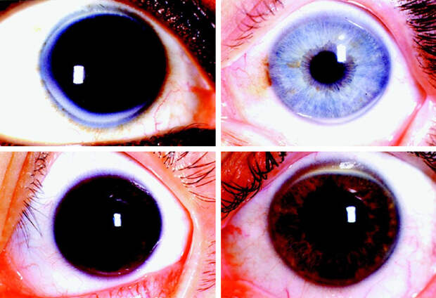 20+ простых фактов, которые однажды могут спасти вам жизнь