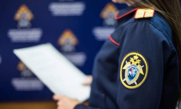 Подросток из Холмогорского округа предстанет перед судом за кражу 139 тысяч рублей с телефона подруги