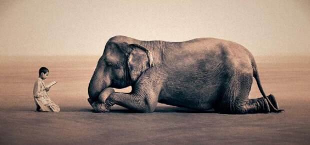 Люди и животные