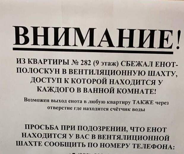 Просто ему нужно кое-что отполоскать Просто ему нужно кое-что отполоскать