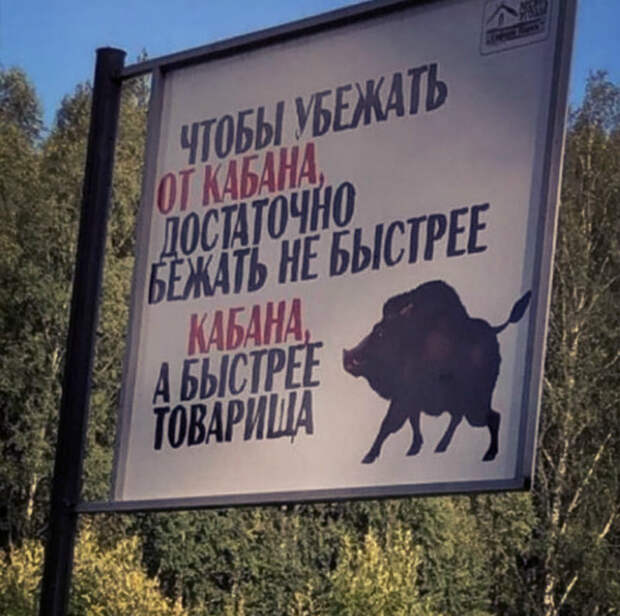 Тщательно выбирайте спутников для прогулок в лес. | Фото: 3ddd. Тщательно выбирайте спутников для прогулок в лес. | Фото: 3ddd.