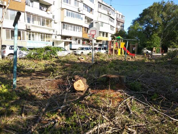 Деревья или детская площадка: сложный выбор пришлось делать жителям Уссурийска