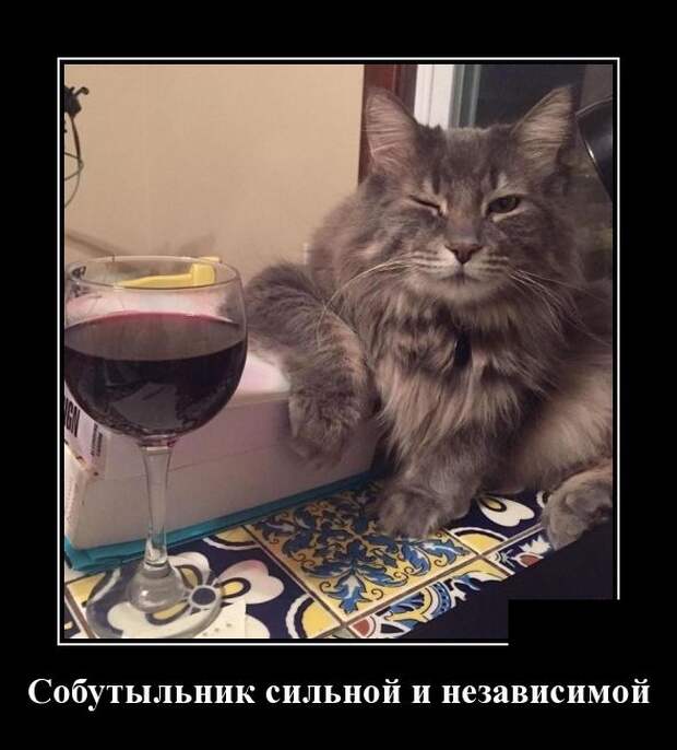 Демотиваторы (30 фото)