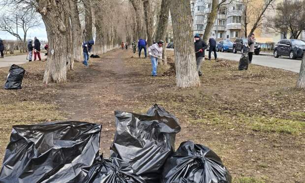 Дмитрий Морев принял участие во всероссийском субботнике в Архангельске