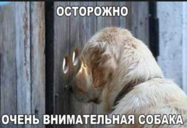 Убойные фотоприколы с надписями
