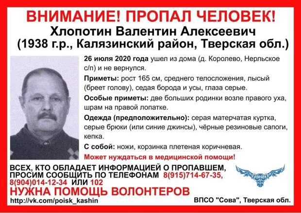 В Тверской области ищут 82-летнего грибника