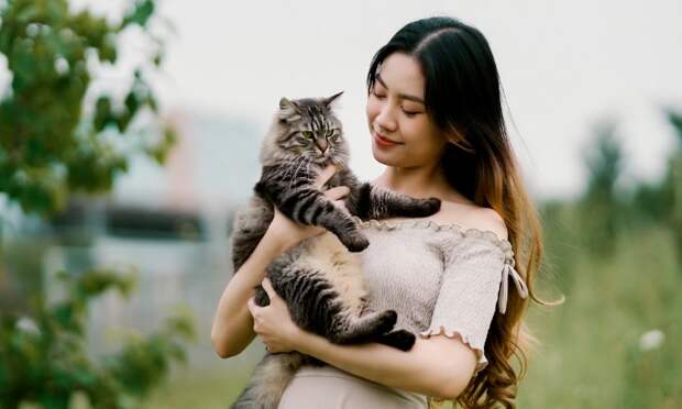 Россияне сдают котов в аренду и зарабатывают на этом