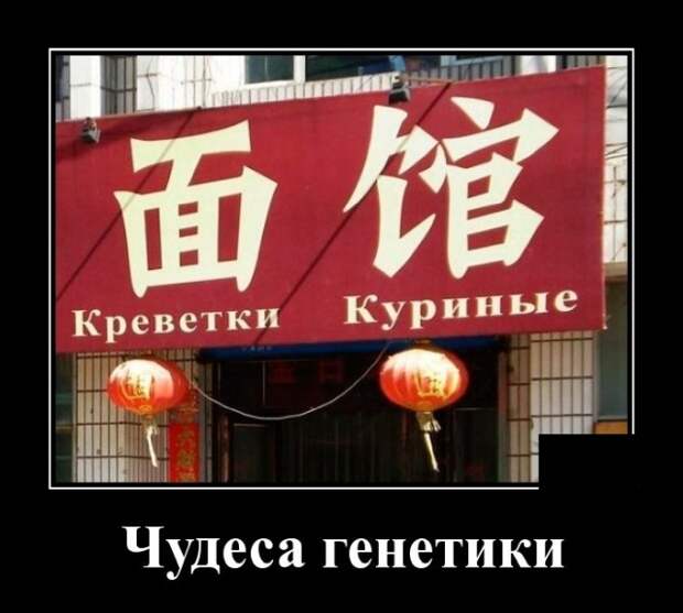 Демотиваторы (20 фото)