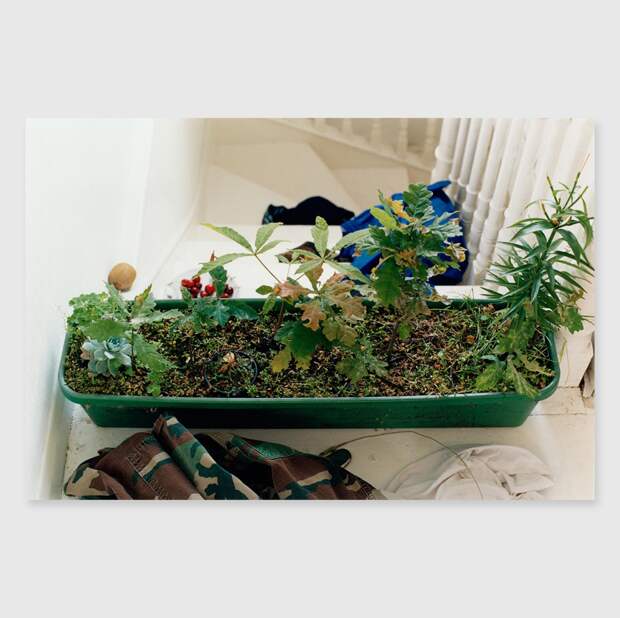 Wolfgang Tillmans. Windowbox, 2000. David Zwirner Gallery