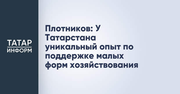 Плотников: У Татарстана уникальный опыт по поддержке малых форм хозяйствования