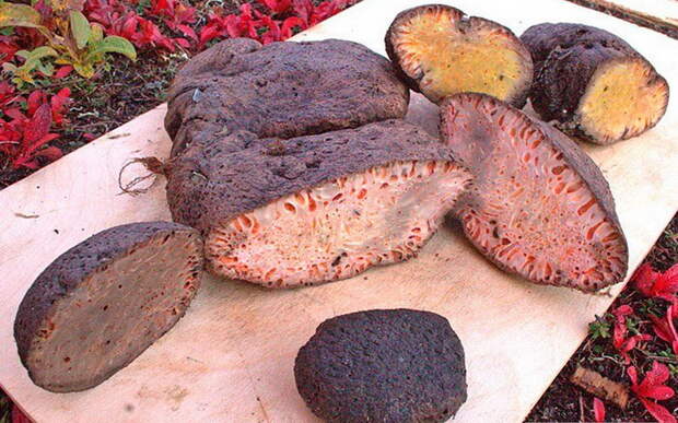 Копальхен - мясной деликатес народов Севера. Фото: ruposters.ru