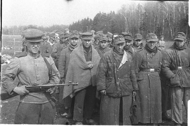 Image result for пленные немцы после войны