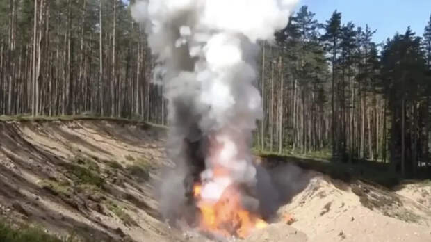 Эксперт Ласкин: уничтожение кокаина вредит природе не больше, чем костер