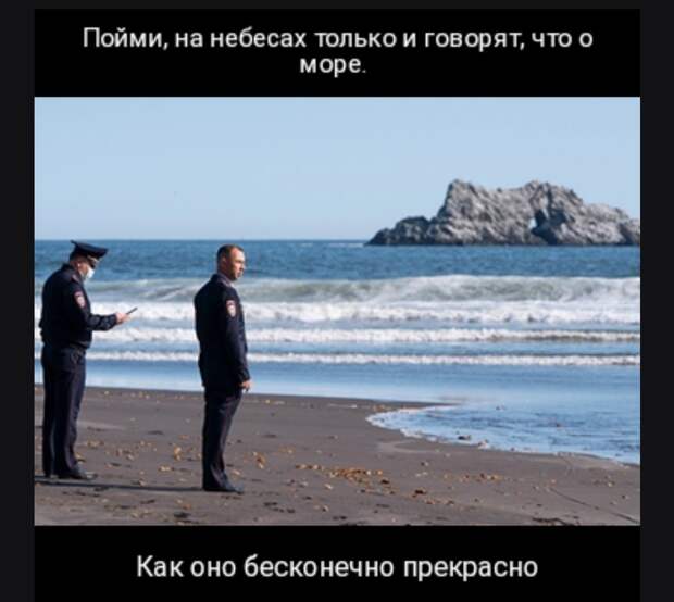 7 смешных мемов с полицейскими, которые расследуют загрязнение на Камчатке