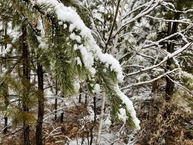 Небольшой снег ожидается завтра в Забайкалье