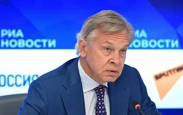 Пушков возмутился западным «агрессивным идиотизмом»