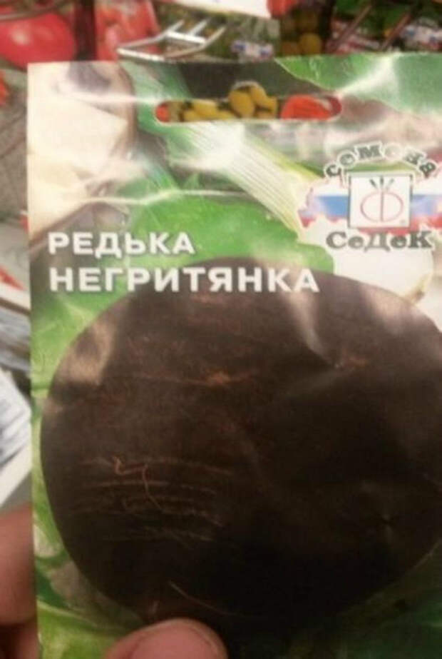 Редька негритянка.