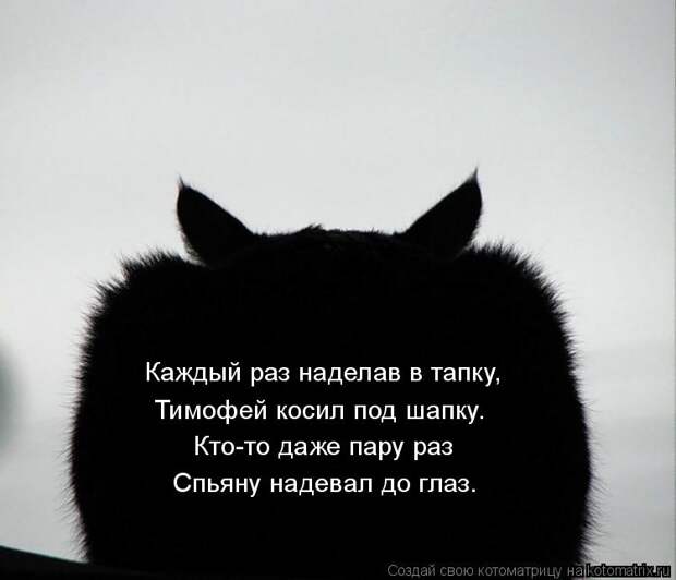 Котоматрица: Каждый раз наделав в тапку, Тимофей косил под шапку. Кто-то даже пару раз Спьяну надевал до глаз.