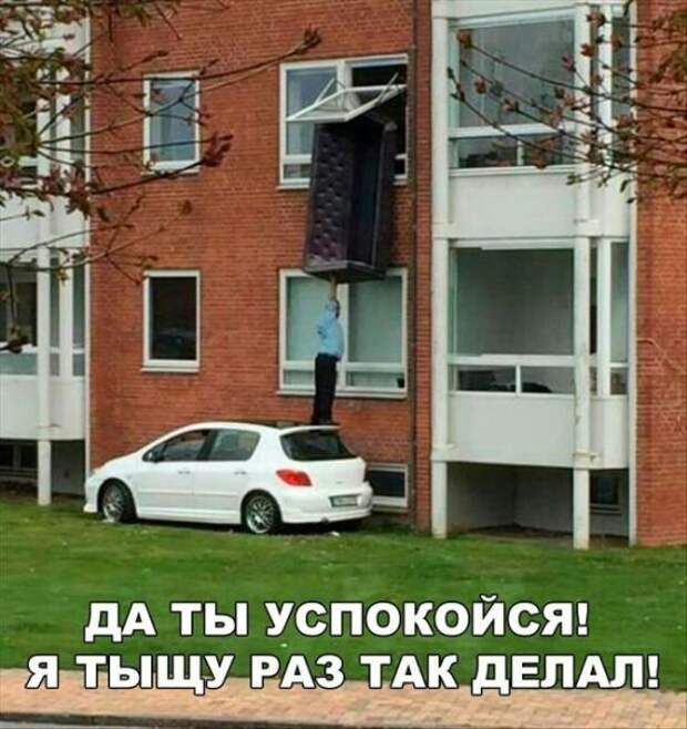 Смешные картинки с надписью и фото приколы для позитива (12 фото) Смешные картинки с надписью и фото приколы для позитива (12 фото)