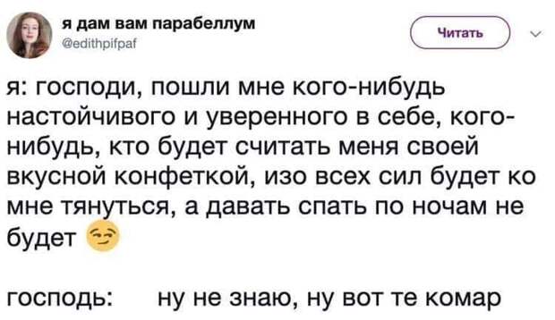 На изображении может находиться: 1 человек, текст «я дам вам парабеллум @edithpifpaf читать я: господи, пошли мне кого-нибудь настойчивого и уверенного в себе, кого- нибудь, кто будет считать меня своей вкусной конфеткой, изо всех сил будет KO мне тянуться, a давать спать по ночам не будет господь: ну не знаю, ну вот те комар»