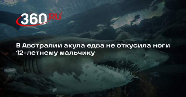 В Австралии акула едва не откусила ноги 12-летнему мальчику