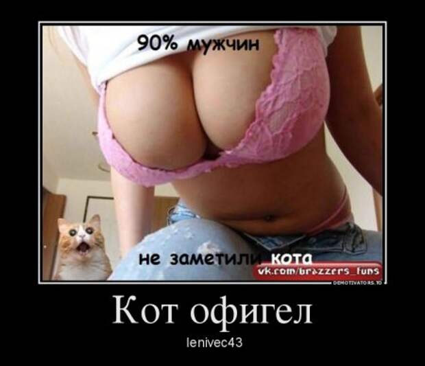 Демотиваторы они опять с нашими комментариями.